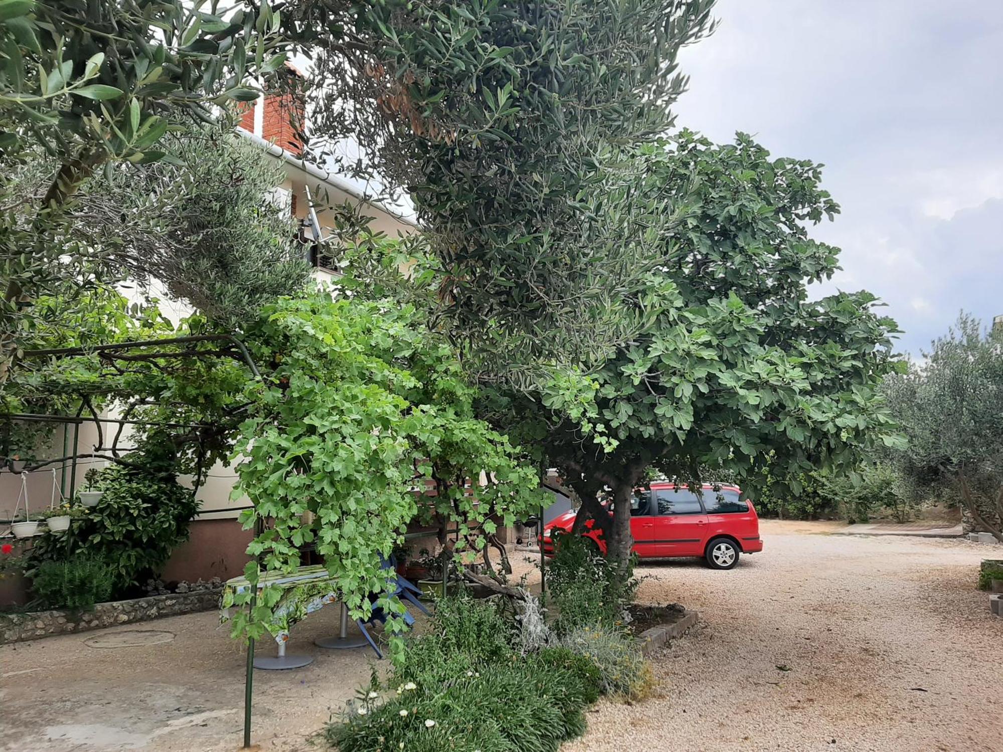 Apartmani Marija Povljana Pokój zdjęcie