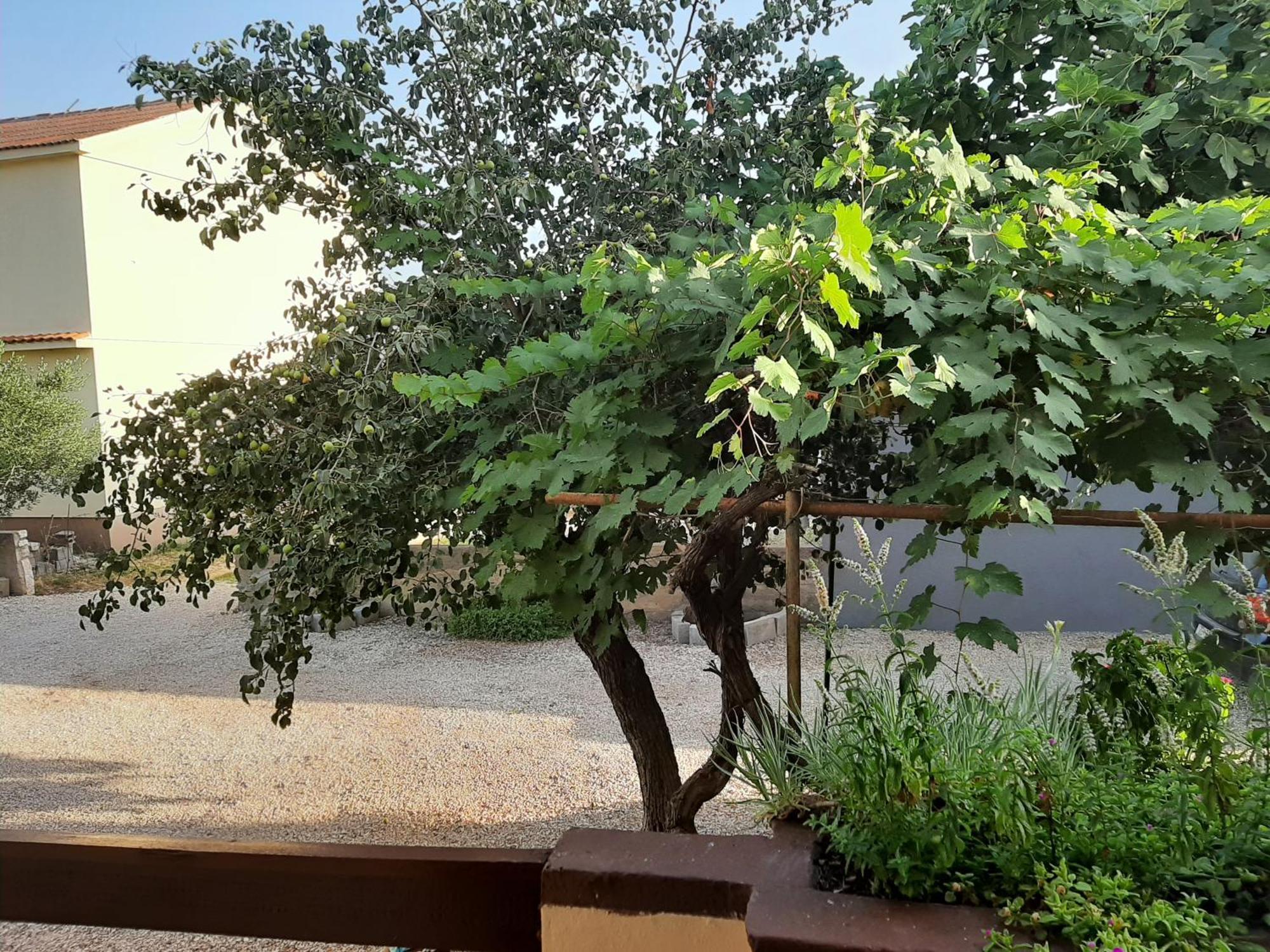 Apartmani Marija Povljana Pokój zdjęcie