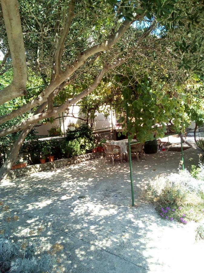Apartmani Marija Povljana Zewnętrze zdjęcie