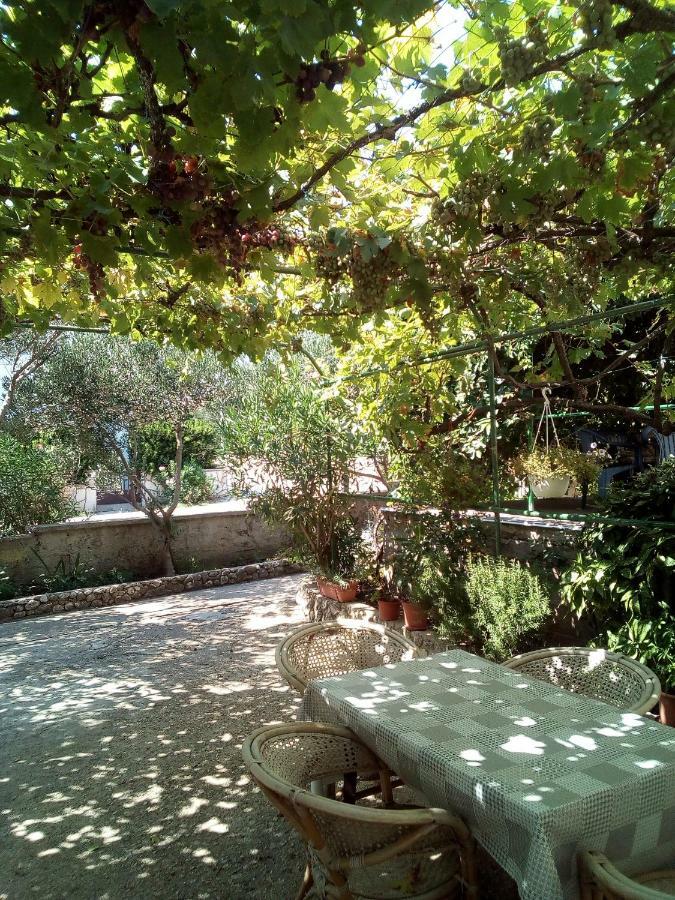 Apartmani Marija Povljana Zewnętrze zdjęcie