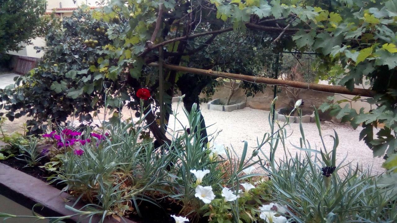 Apartmani Marija Povljana Zewnętrze zdjęcie